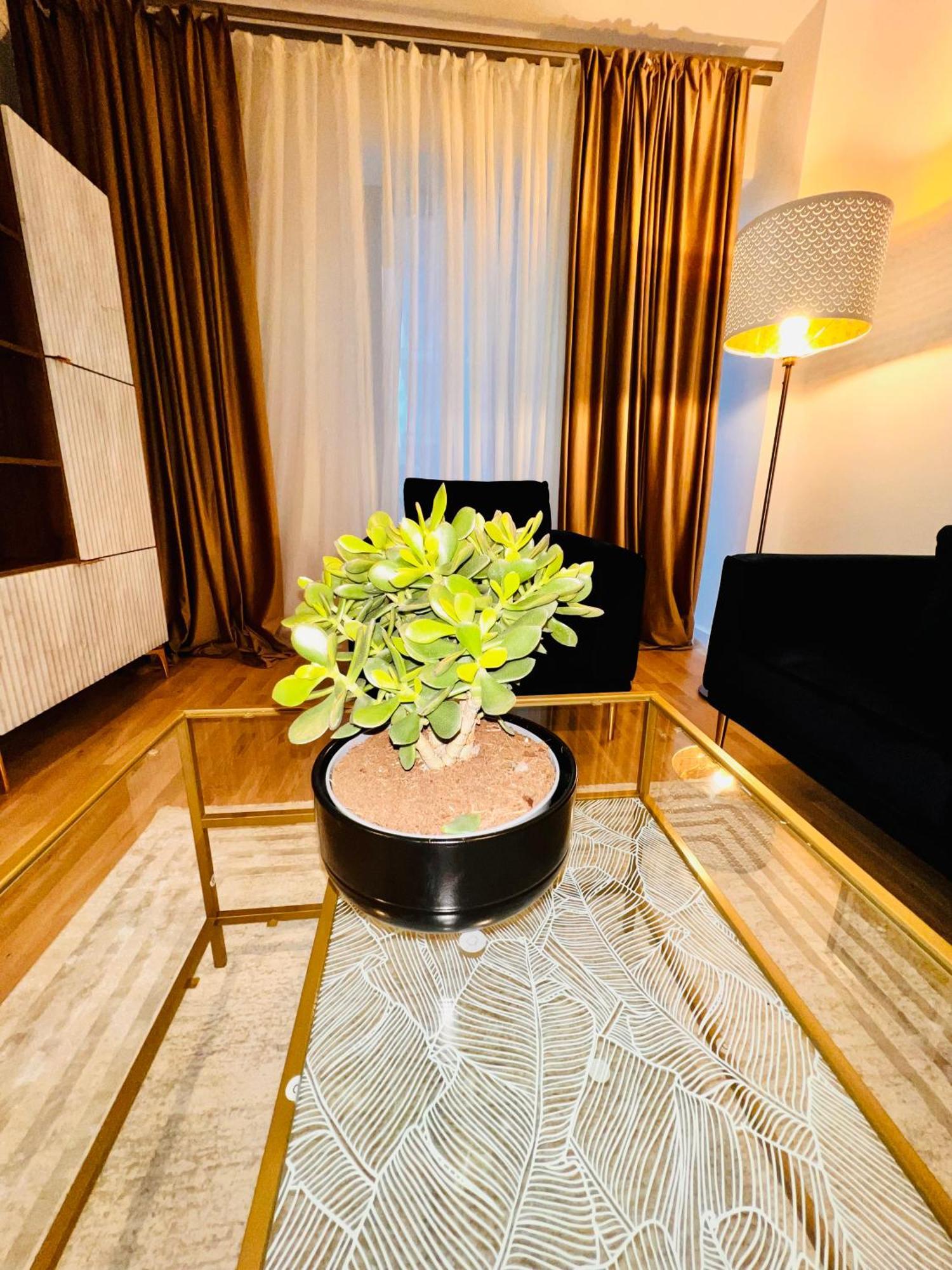 Cosy Stay בוקרשט מראה חיצוני תמונה